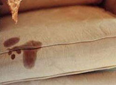 نحوه شستشو مبلمان