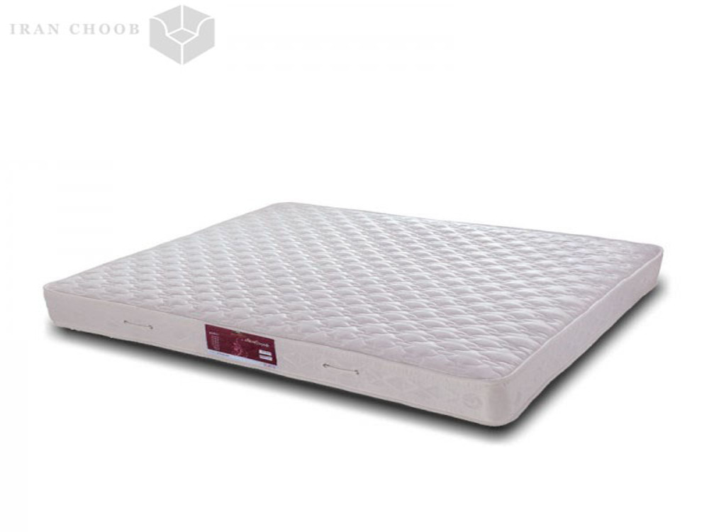 تشک ویستر هوردا پدیک  1