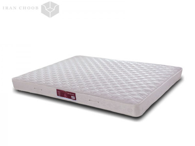 تشک ویستر هوردا پدیک