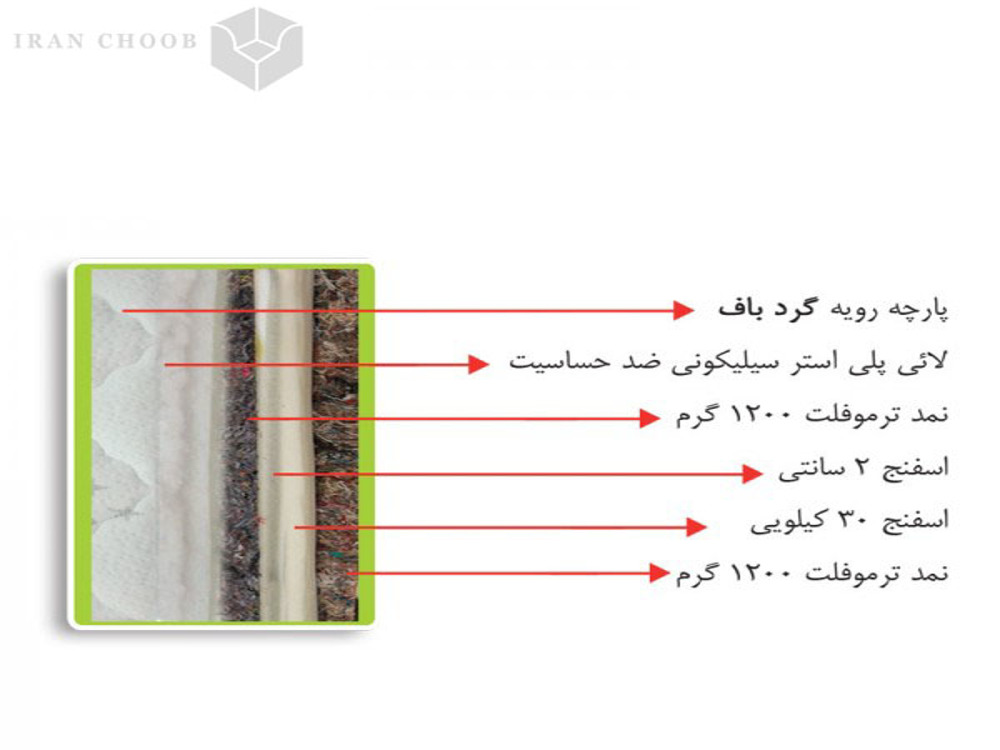 تشک ویستر هوردا پدیک  2