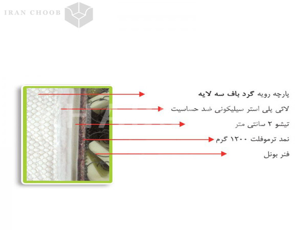 تشک ویستر دکتر ویستر  2